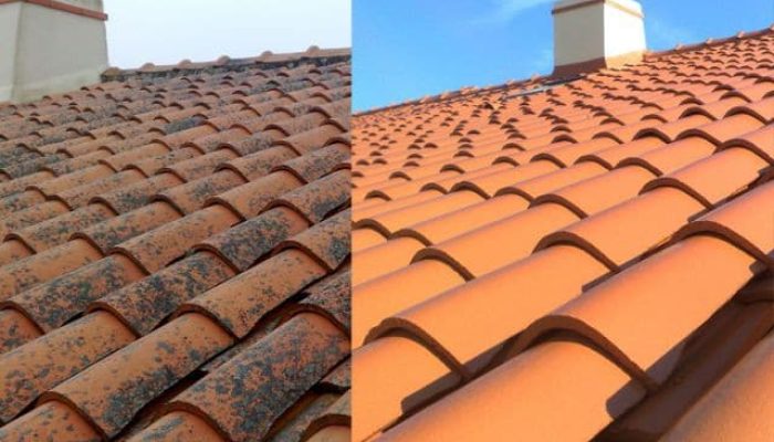 avant après nettoyage démoussage tuiles toiture