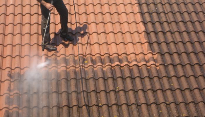 démoussage nettoyage toiture professionnel
